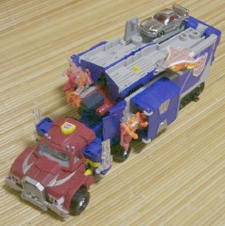 ��ɏ���Ă�̂́A�P�Ȃ�g�~�J