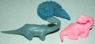 �`���Ղ��ی����B�t�����ɎB��ׂ���������